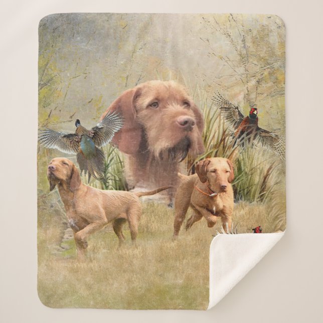 Cobertor Sherpa O Wirehaired Vizsla húngaro (Frente)