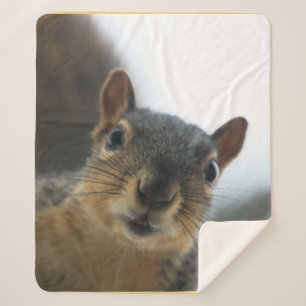 Cobertor Sherpa Olá.