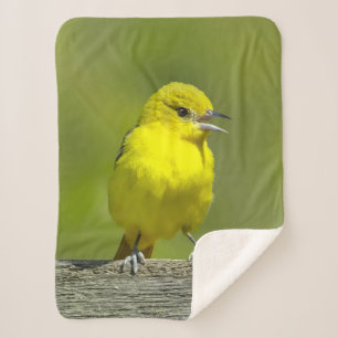 Cobertor Sherpa Orchard Oriole - Fotografia original