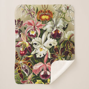 Cobertor Sherpa Orquídeas, Orquídeas Denusblumen Ernst Haeckel