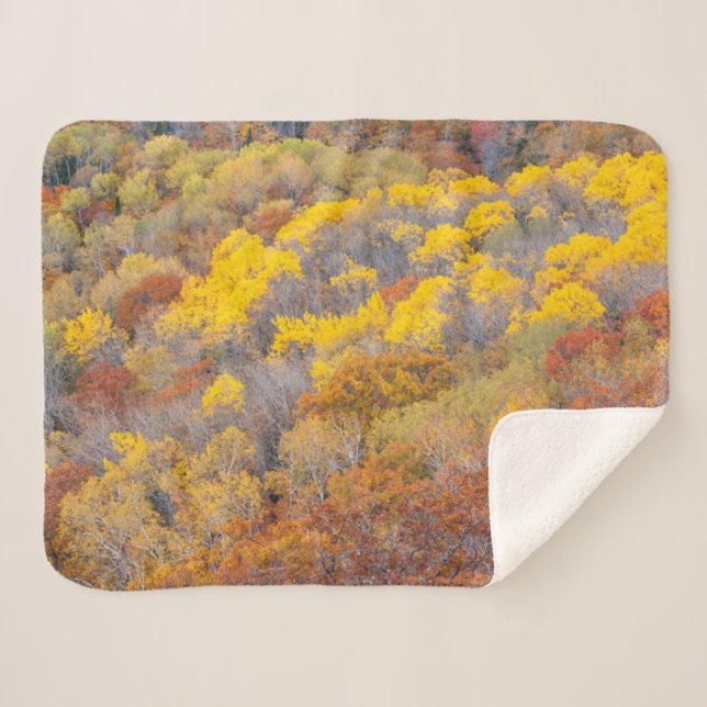 Cobertor Sherpa Outono em Michigan (Frente (Horizontal))