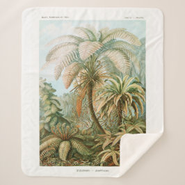 Cobertor Sherpa Palm Tree Ernst Haeckel