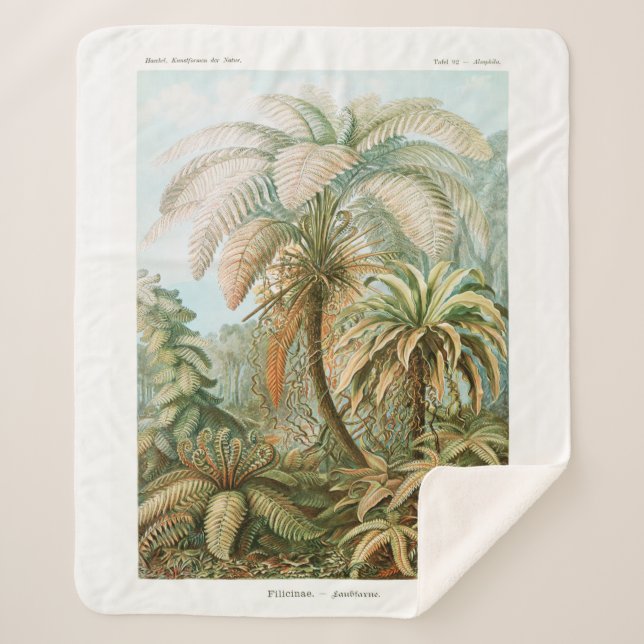 Cobertor Sherpa Palm Tree Ernst Haeckel (Frente)