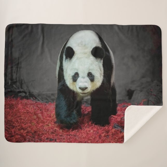 Cobertor Sherpa Panda Bear (Frente (Horizontal))