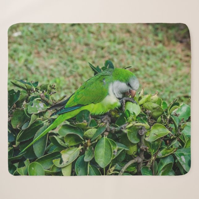 Cobertor Sherpa Papagaio verde (Frente (Horizontal))