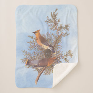 Cobertor Sherpa Par de pássaro Cedar Waxwing de Audubon em Evergr