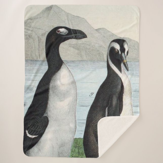 Cobertor Sherpa Par de Pinguins - Toalha de Praia (Frente)