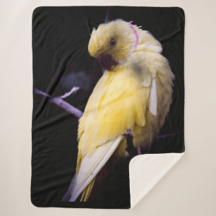 COBERTOR SHERPA PARAQUIETE AMARELO