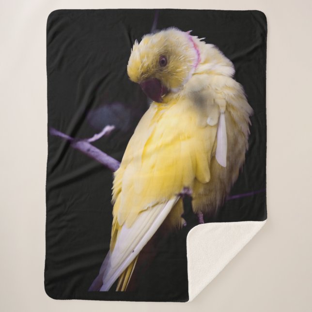 COBERTOR SHERPA PARAQUIETE AMARELO (Frente)