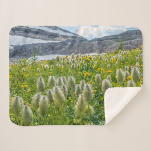 Cobertor Sherpa Pasqueflower Ocidental Montanhas de East Kootena