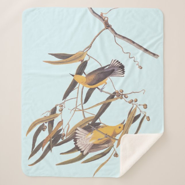 Cobertor Sherpa Pássaro Adormecido Prothonotário Amarelo de Audubo (Frente)