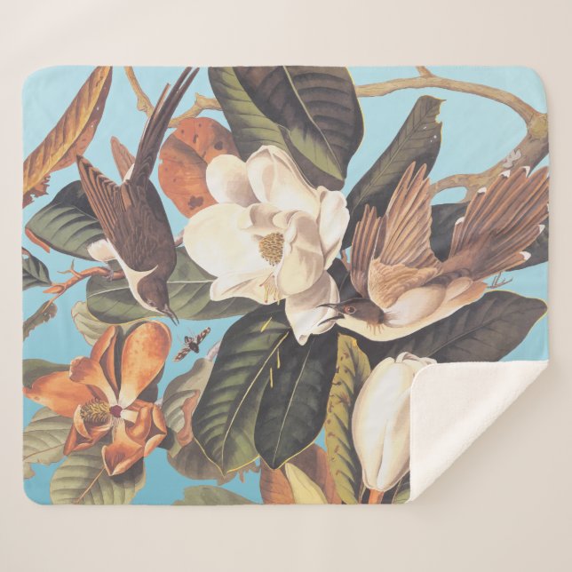 Cobertor Sherpa Pássaro Cuckoo Cobrado a Preto (Frente (Horizontal))