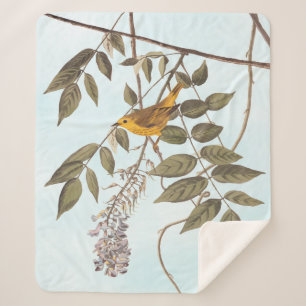 Cobertor Sherpa Pássaro de Audubon Amarelo-Azul na Wisteria