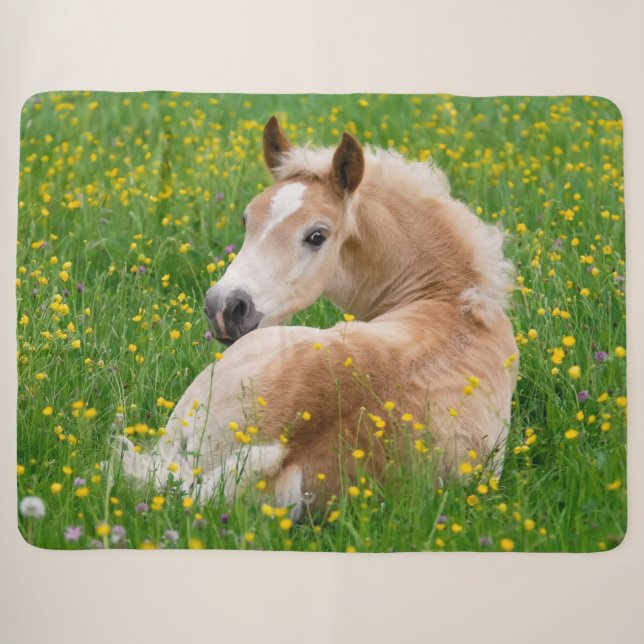 Cobertor Sherpa Pé de coroa de haflinger descendo num leito de flo (Frente (Horizontal))
