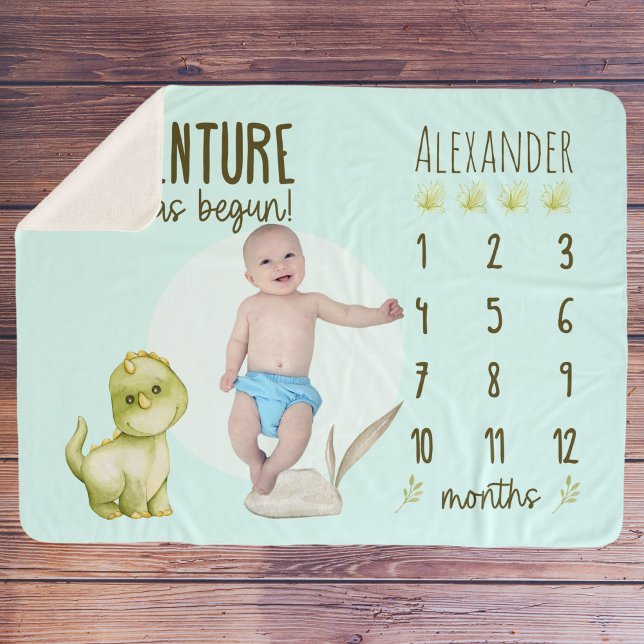 Cobertor Sherpa Pequeno T Rex Dinossauro Bonito Milestone (Criador carregado)