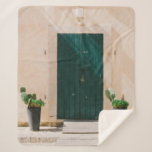 COBERTOR SHERPA PLANTA DE CACTÃO VERDE PERTO DA PORTA VERDE