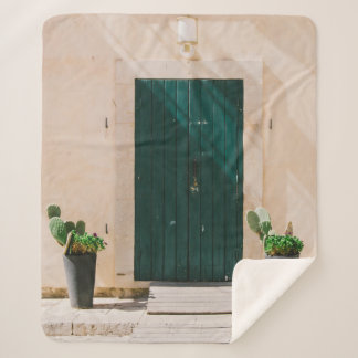 COBERTOR SHERPA PLANTA DE CACTÃO VERDE PERTO DA PORTA VERDE