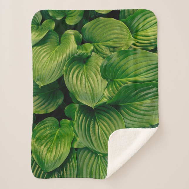 Cobertor Sherpa Planta verde (Frente)