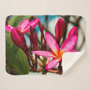 Cobertor Sherpa Plumeria florescente exótica florescente