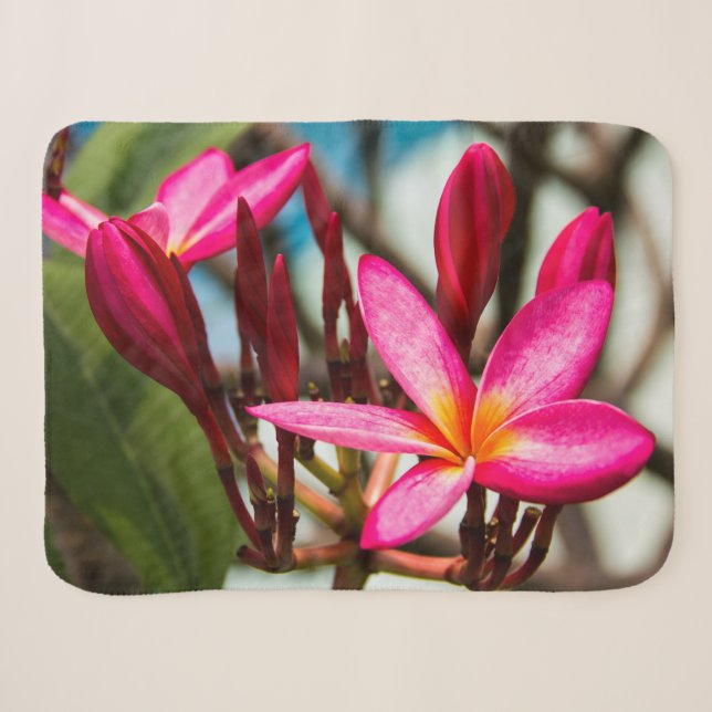 Cobertor Sherpa Plumeria florescente exótica florescente (Frente (Horizontal))