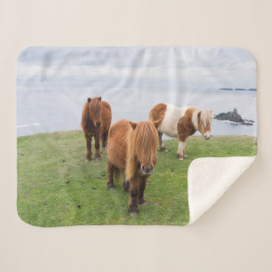 Cobertor Sherpa Pônei Shetland em Pastagem Perto de Falésias Altas