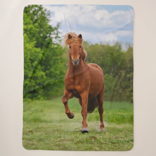 Cobertor Sherpa Pony islandês em uma Tölt Funny Photo Horse Lovers