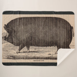 Cobertor Sherpa Porco do século XIX impressão Berkshire porca n.o