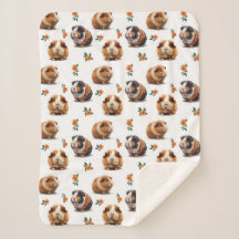 Porcos-Guiné E Flores-Laranja