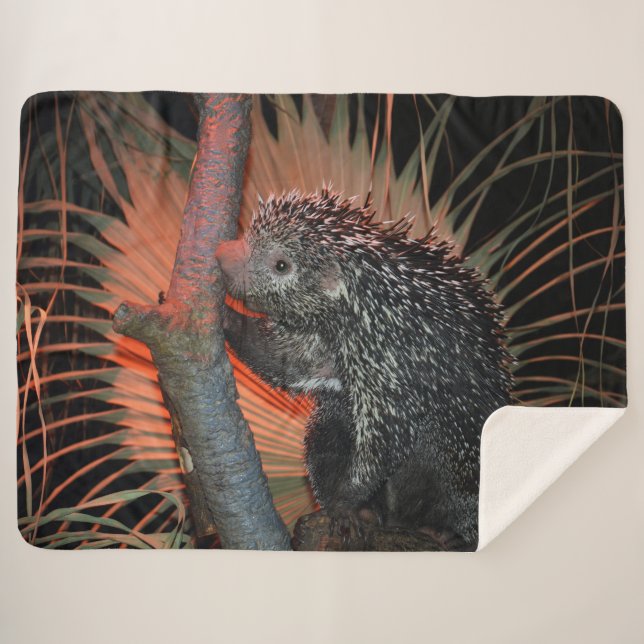 Cobertor Sherpa Porcupine (Frente (Horizontal))