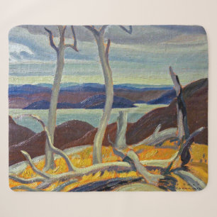 Cobertor Sherpa Porto Coldwell Bay Franklin Carmichael