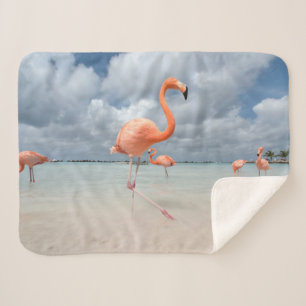 Cobertor Sherpa Praias Tropicais Flamingos Beach, Aruba