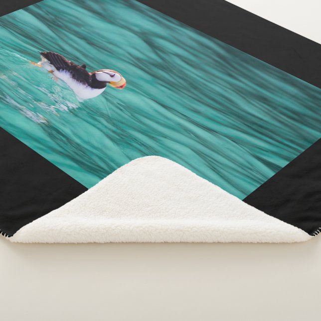 Cobertor Sherpa Puffin In Resurrection Bay, Alaska (3/4)