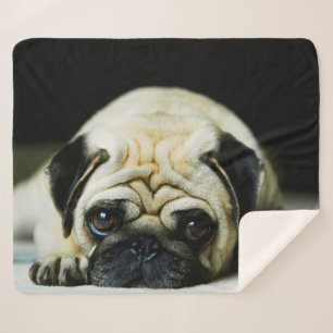 Cobertor Sherpa Pug