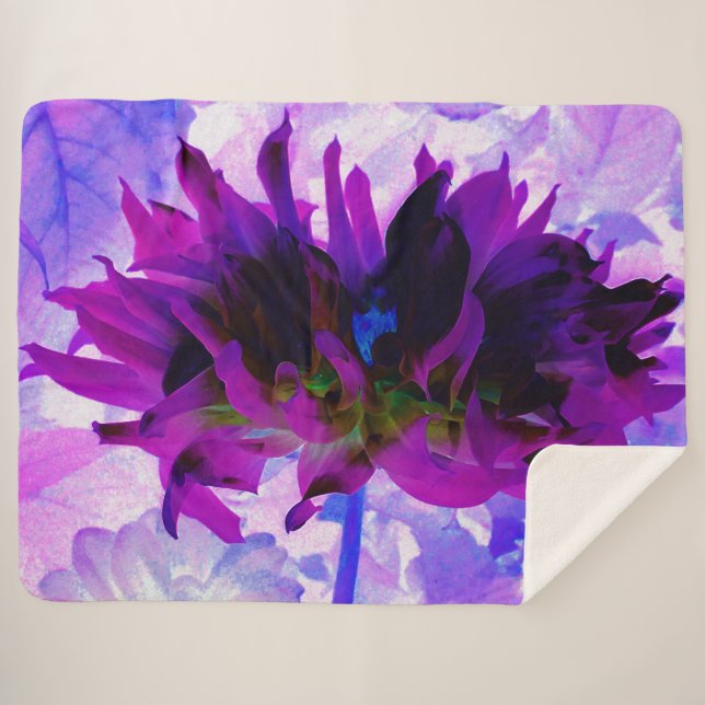 Cobertor Sherpa Púrpura e preto Cactus Dahlia (Frente (Horizontal))
