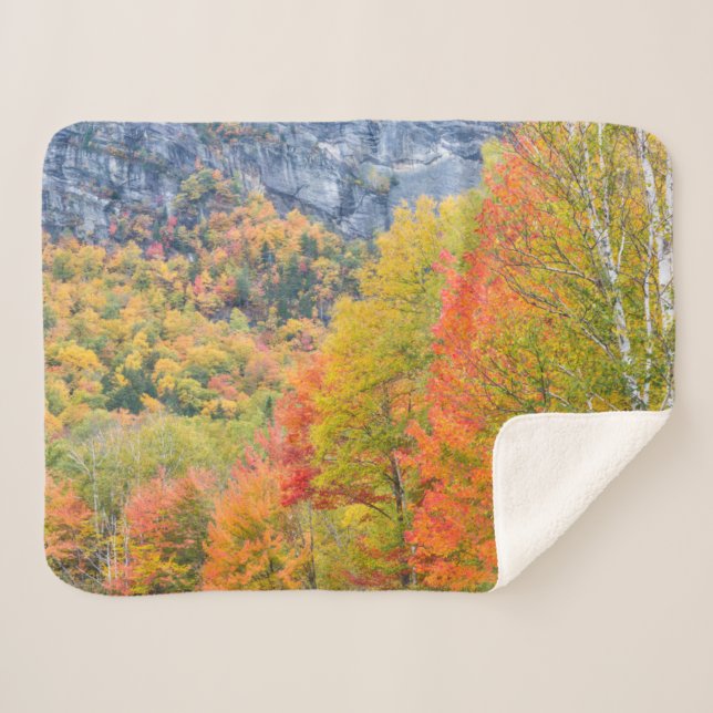 Cobertor Sherpa Queda no Parque Estadual Grafton Notch, Maine (Frente (Horizontal))