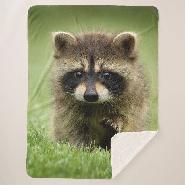 COBERTOR SHERPA RACCOON BABY (Frente)