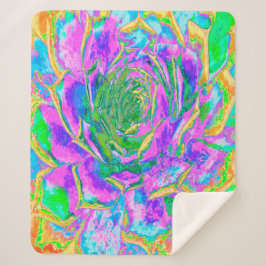 Cobertor Sherpa Rainbow Colors Fiesta Succulent Sedum Rosette