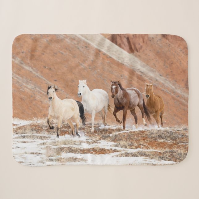 Cobertor Sherpa Rancho Hideout com Pequeno Rebanho de Cavalos na N (Frente (Horizontal))