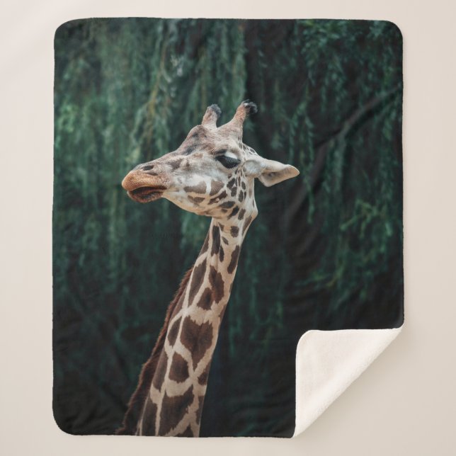 COBERTOR SHERPA RETRATO DE CUTE GIRAFFE (Frente)