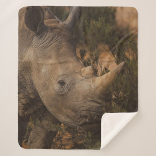 COBERTOR SHERPA RHINO SELVAGENS