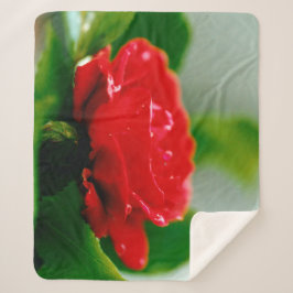 Cobertor Sherpa Rosa vermelha de manhã coberta com gotas de orvalh