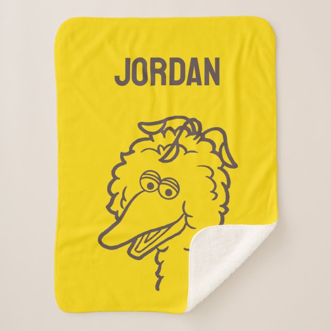 Cobertor Sherpa Rua Sésamo | Ave Brilho (Frente)