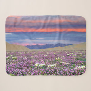 Cobertor Sherpa Sand Verbena e Primrose Silvestres ao Pôr do Sol