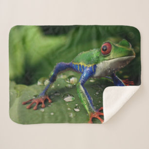 COBERTOR SHERPA SAPO COLORIDO