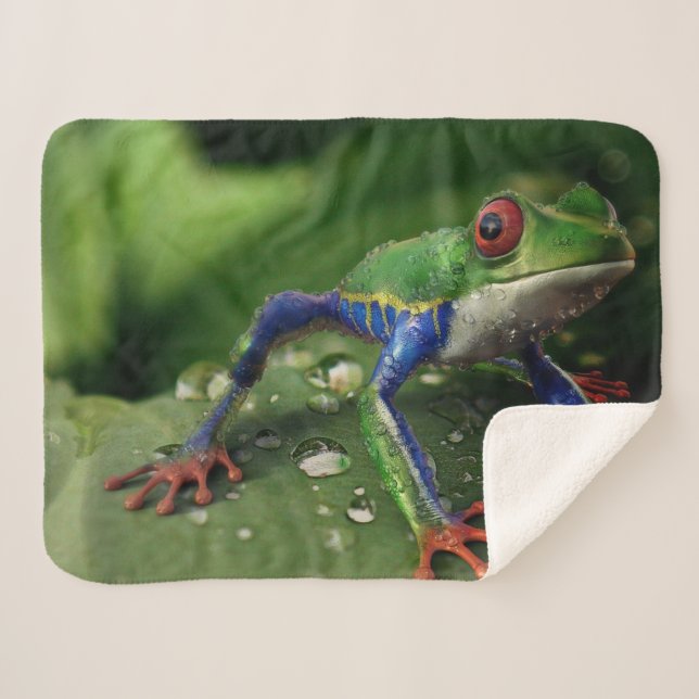 COBERTOR SHERPA SAPO COLORIDO (Frente (Horizontal))