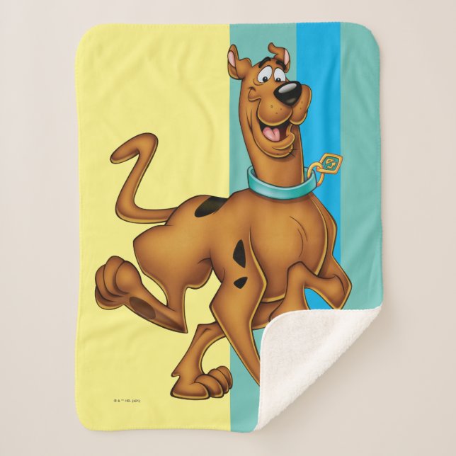 Cobertor Sherpa Scooby-Doo Happy Walk (Frente)