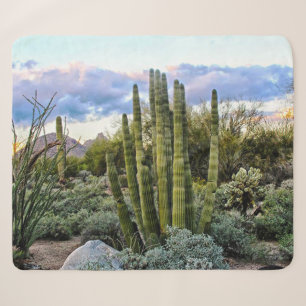 Cobertor Sherpa Scottsdale Succulent Sunset