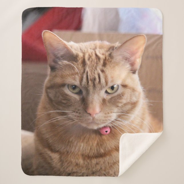 Cobertor Sherpa Sério (Frente)