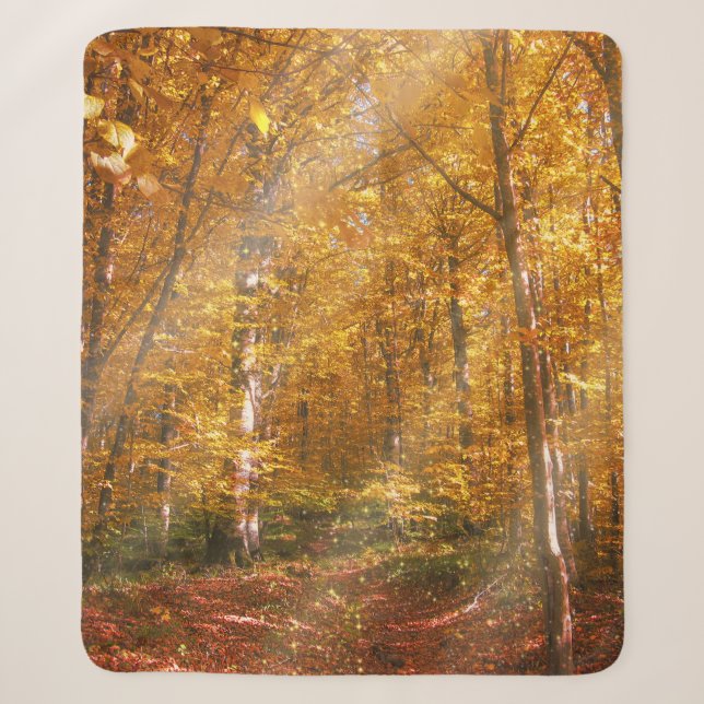 Cobertor Sherpa Sherpa Blanket Autumn Dourada Rays (Frente)