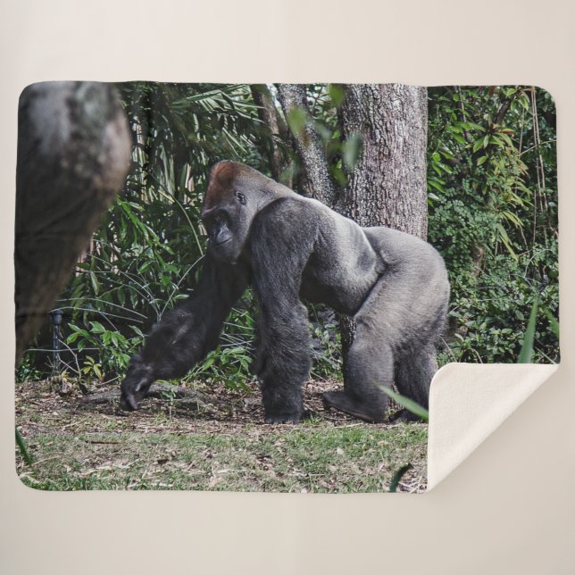 COBERTOR SHERPA SILVERBACK GORILLOA (Frente (Horizontal))